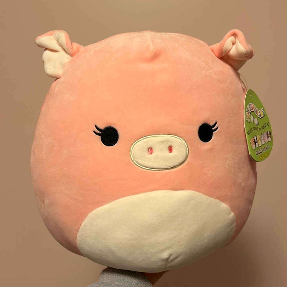 petra squishmallow